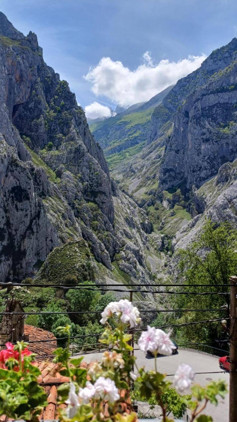 El Portal Del Abuelo Διαμέρισμα Arenas De Cabrales Εξωτερικό φωτογραφία