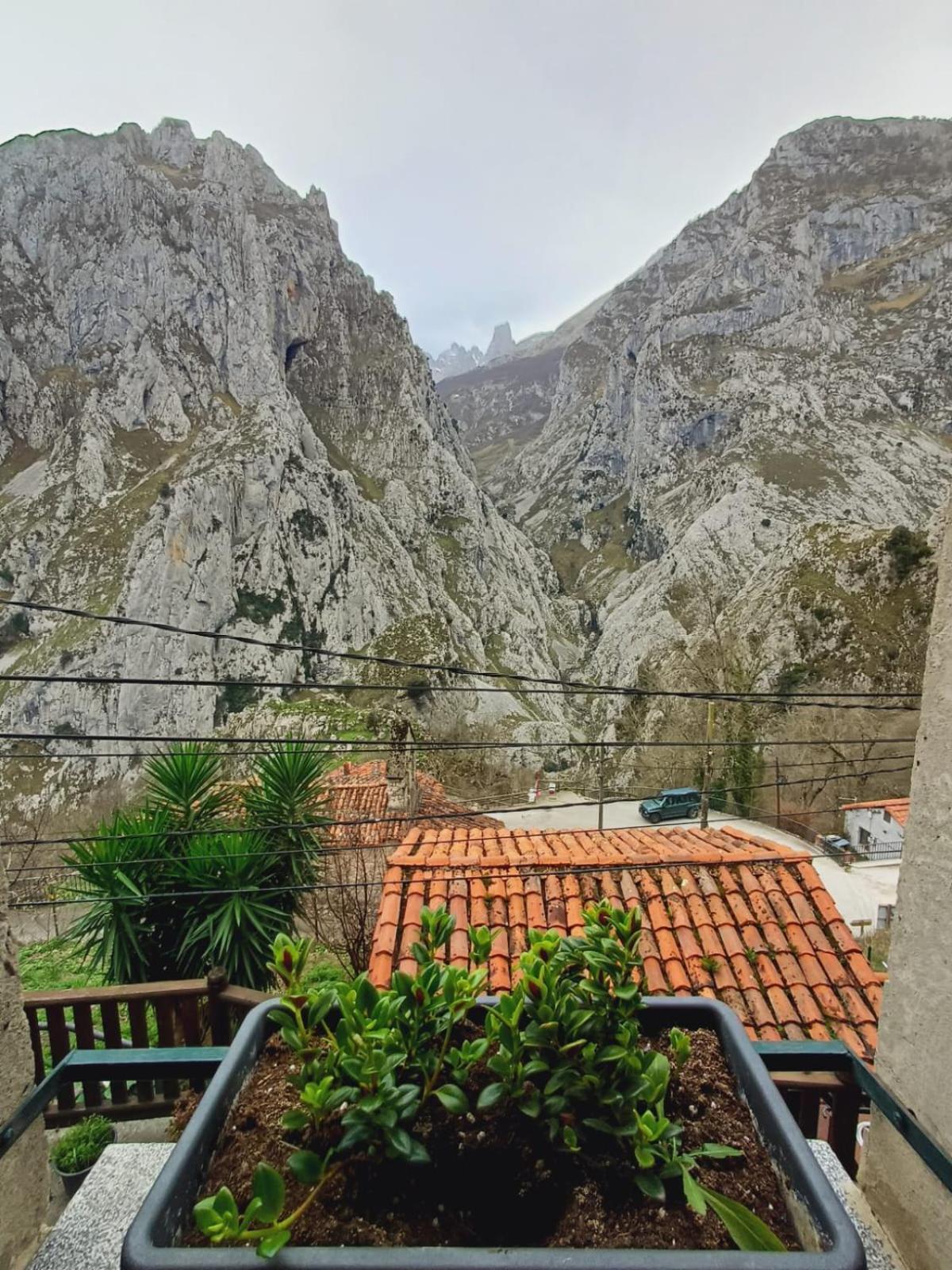 El Portal Del Abuelo Διαμέρισμα Arenas De Cabrales Εξωτερικό φωτογραφία