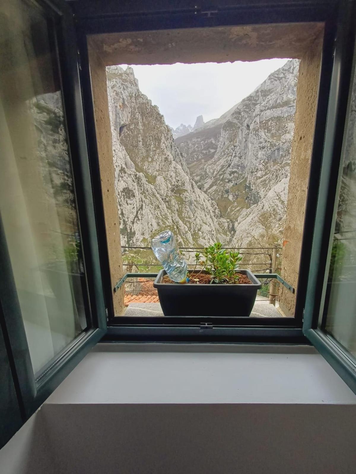 El Portal Del Abuelo Διαμέρισμα Arenas De Cabrales Εξωτερικό φωτογραφία